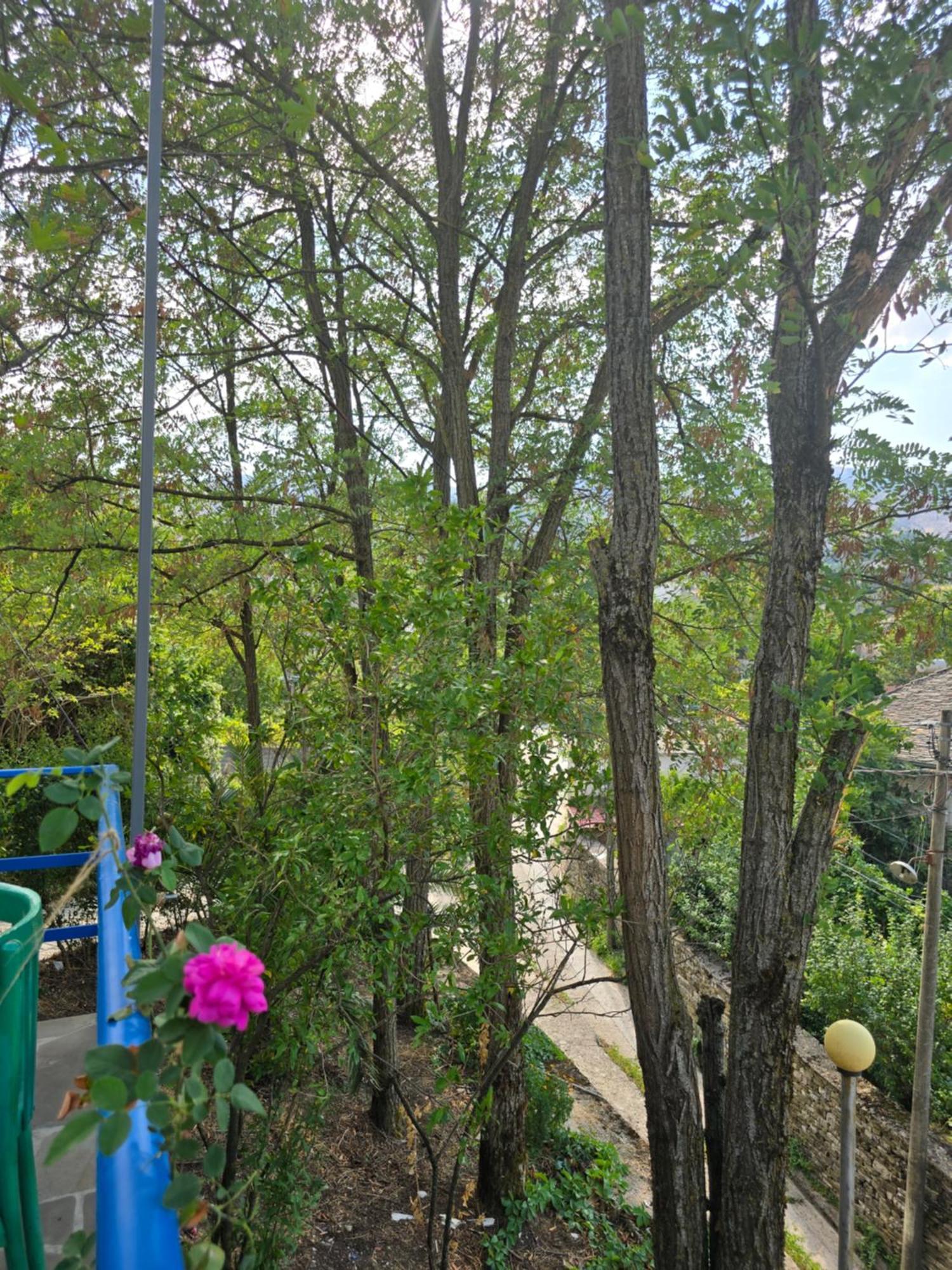Gjirokastër Clockwise Guestrooms מראה חיצוני תמונה